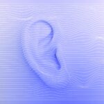 The Science of Sound: Understanding the Acoustics of Music