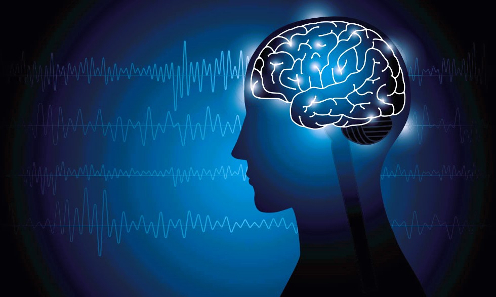 Music and the Limbic System